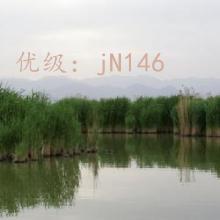 ̫